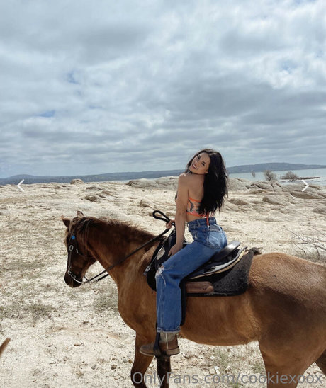 Bri Cookie art pornstar photo