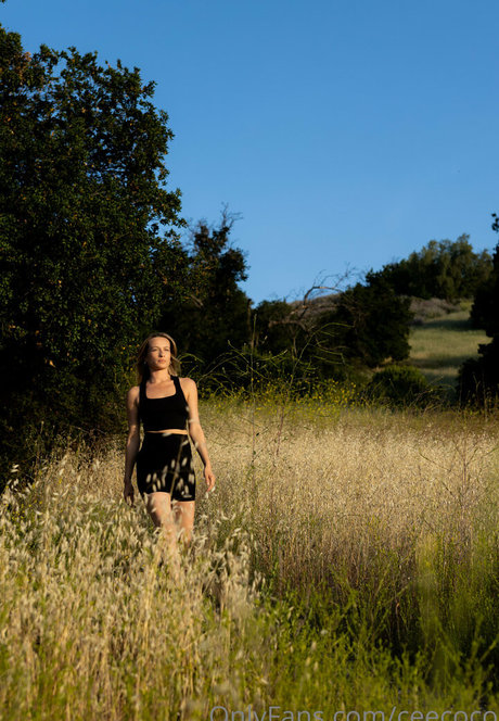 ceecoco star high quality img