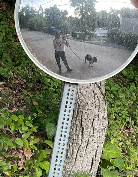 ceecoco perfect pornstar archive