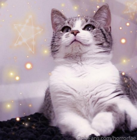 lewdfaerie nude pornstar photos