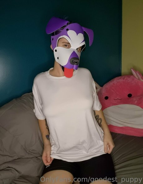 goodest puppy free star photos