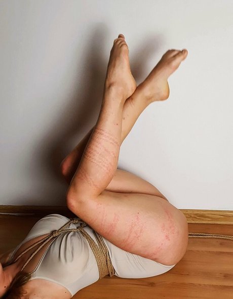 polarainbow star beautiful picture