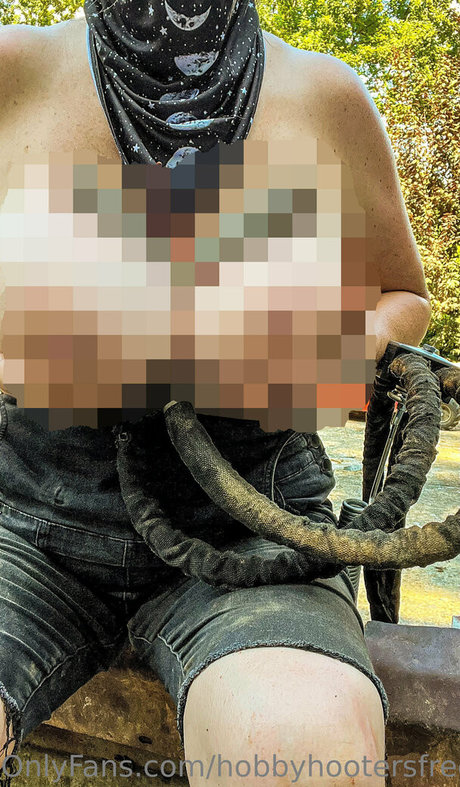 hobbyhootersfree exclusive pornstar galleries