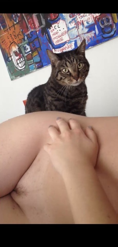 Alison Brie star free images