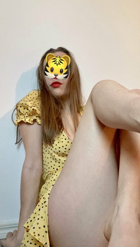 cencherry nice star picture