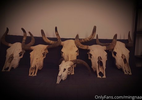 mingnaa model sexy gallery