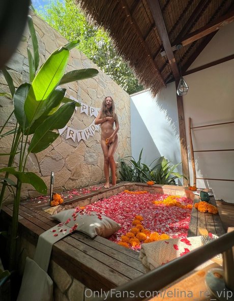 Elina re vip star naked photos