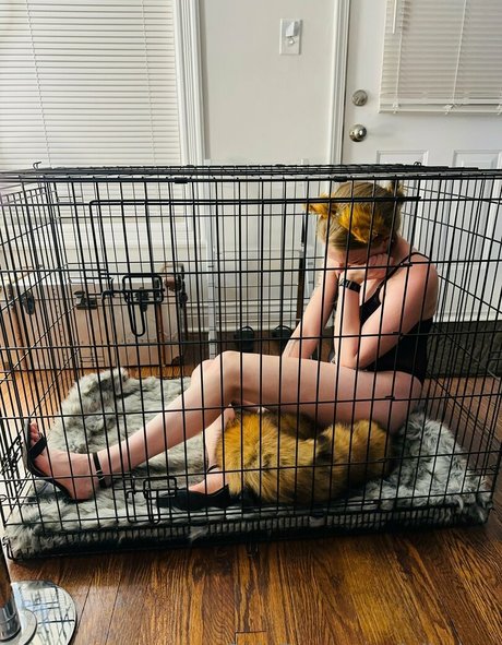 ivibabes beautiful actress pics