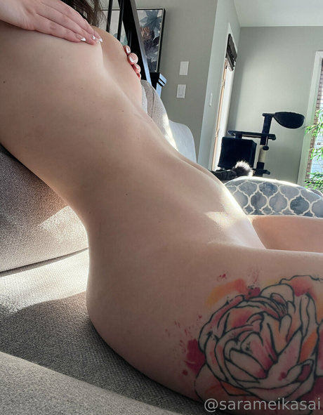 Sarameikasai hd actress img