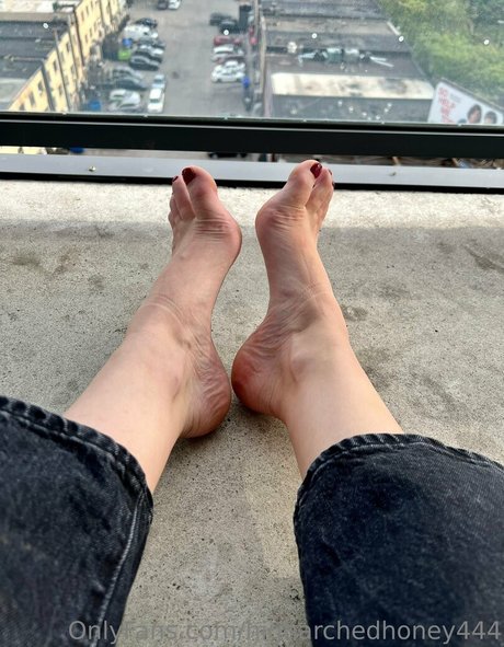 higharchedhoney444 profile pic