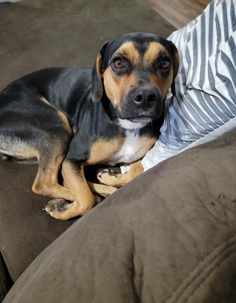 kodi salem pornstar erotic galleries