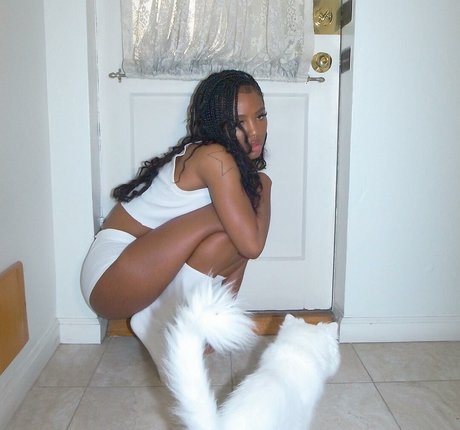 Quenlin Blackwell model top image