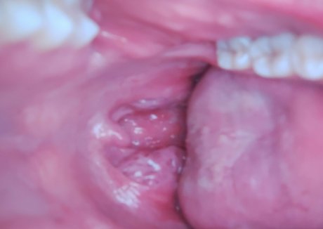 dana the lady vore top pornstar pic