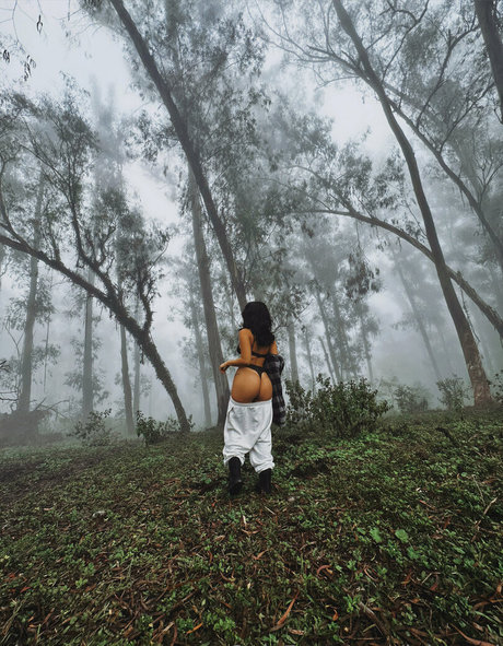 loi need high quality star img