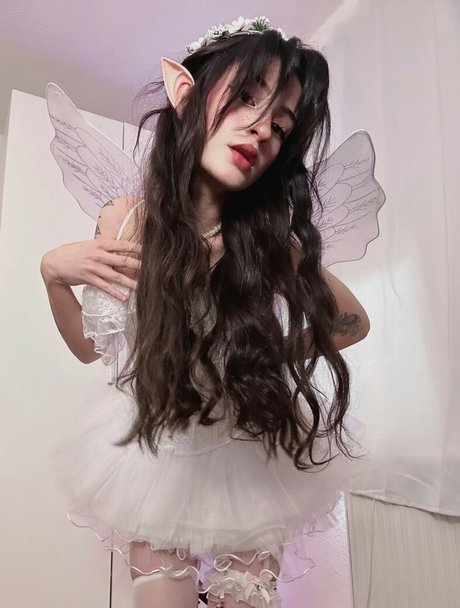 Salinono star adult pic