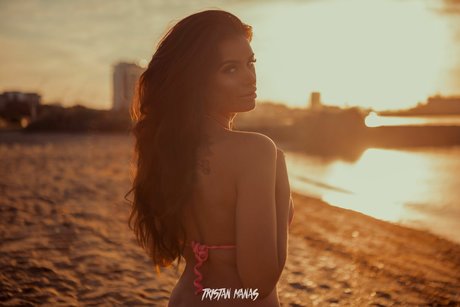 Danie Sommers perfect star galleries