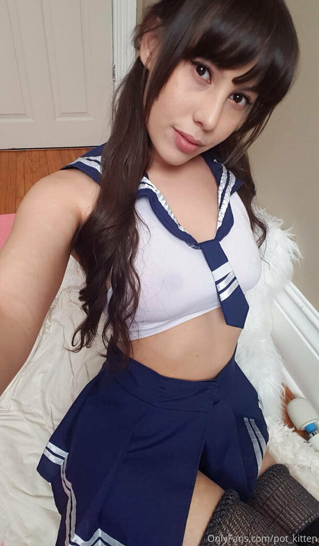 Pot kitten high quality star pic