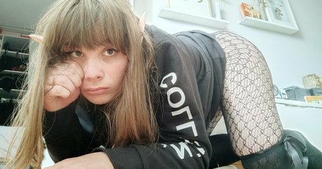 faecuddlebug nice pornstar galleries