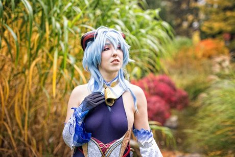 Pink Fluffy Kitchicorn profile pic