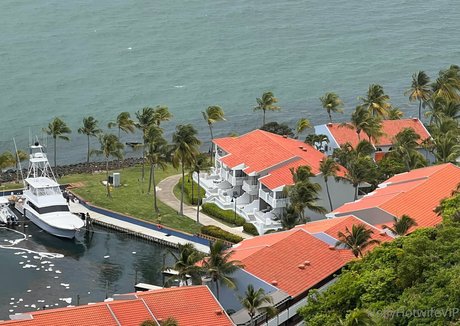 hollyhotwifevip star perfect photo