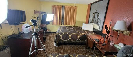 sashaandbearxx pornstar perfect images