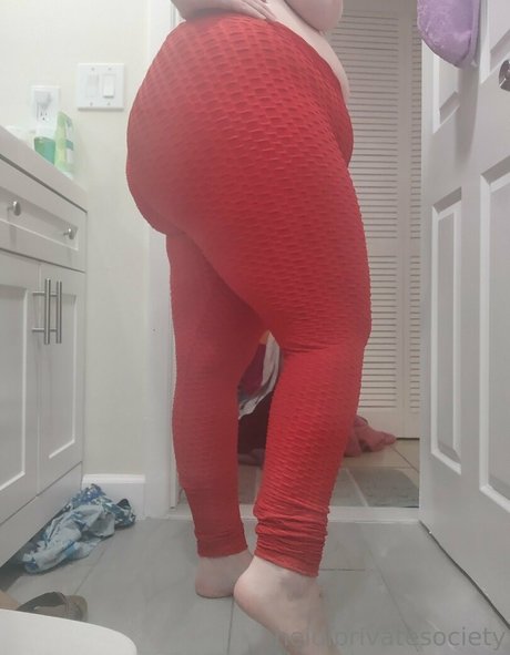 heidiprivatesociety art pornstar images