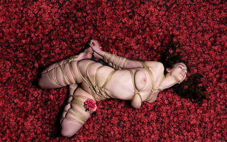 Modeladventurer pornstar nude picture