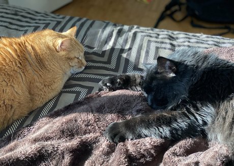 somelittlecrumbs star porn pictures