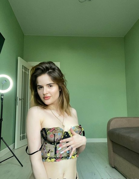 karin toy exclusive model archive