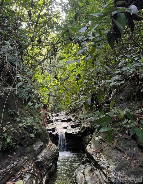 bellecreed xxx star picture