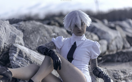 freepoisonne star beautiful img