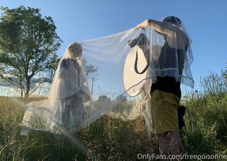 freepoisonne adult star pictures