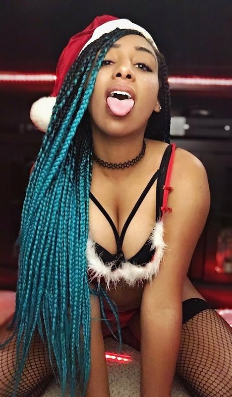 meowster model perfect picture