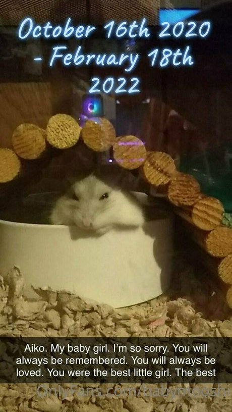 babymooshi hd pornstar images