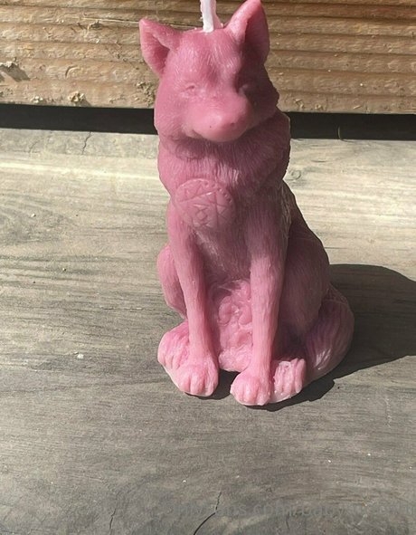 babymooshi perfect star pic