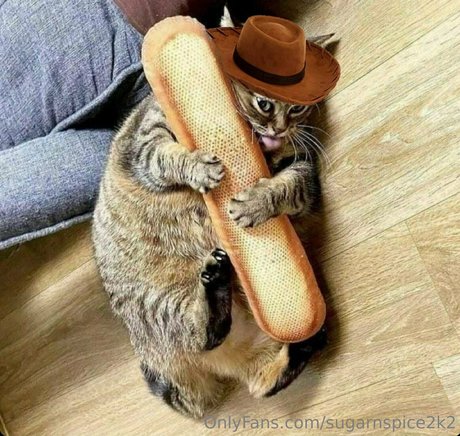 smoll n sweet 2k2 nice pornstar pic