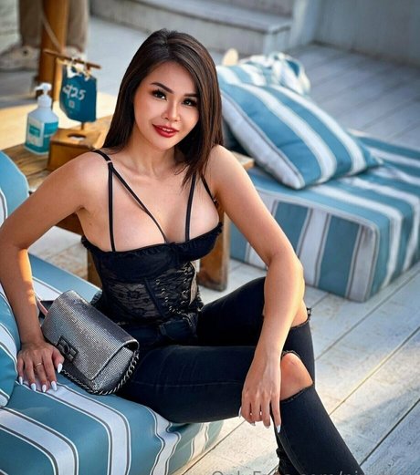 pingthai perfect star galleries