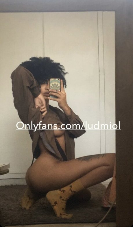 Molive best model gallery