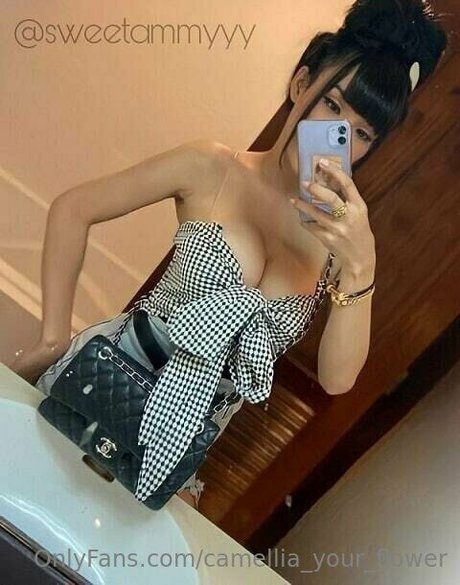 camellia your flower thumbnail