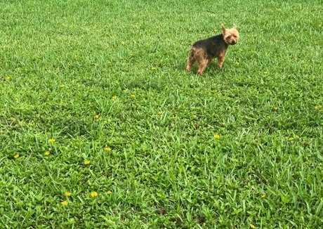 cindymoon7 pornstar top archive