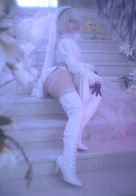 Alcololi beautiful star img