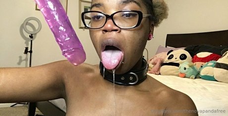 thenovapandafree star top img