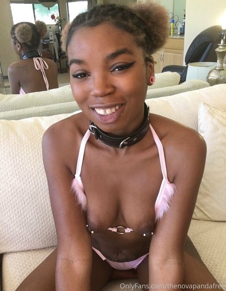 thenovapandafree erotic star pics