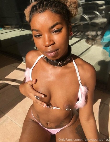 thenovapandafree star nudes archive