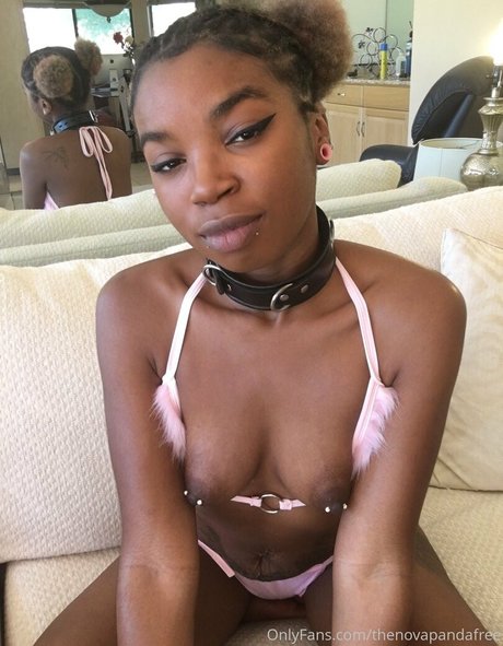 thenovapandafree pornstar high quality pictures