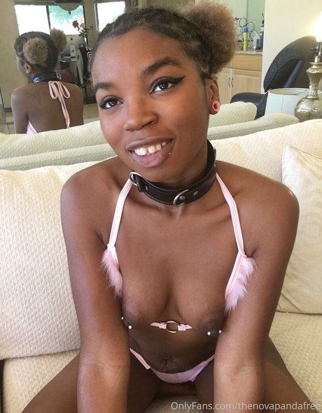 thenovapandafree hd pornstar galleries