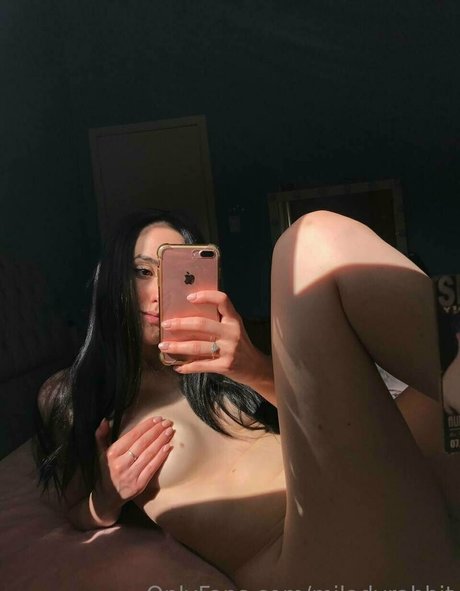 miladyrabbit star top image