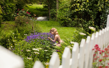 Muse Musemercier porn star archive