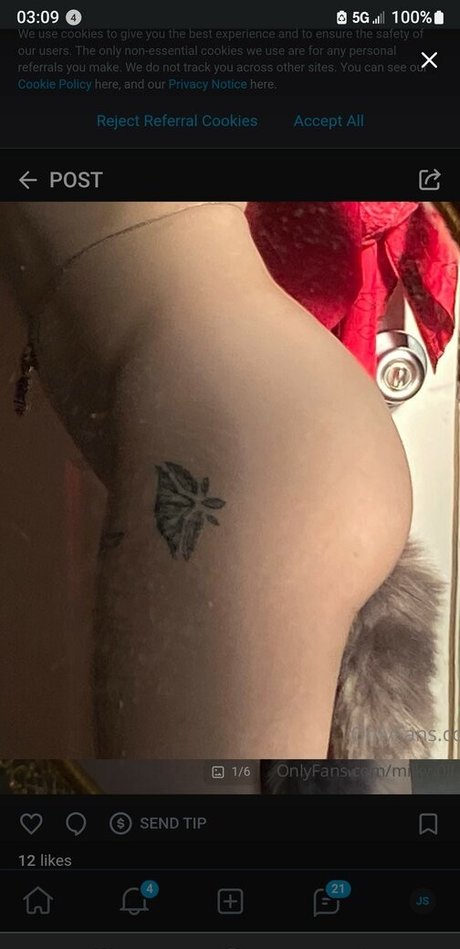 milkw0lf star nice pictures