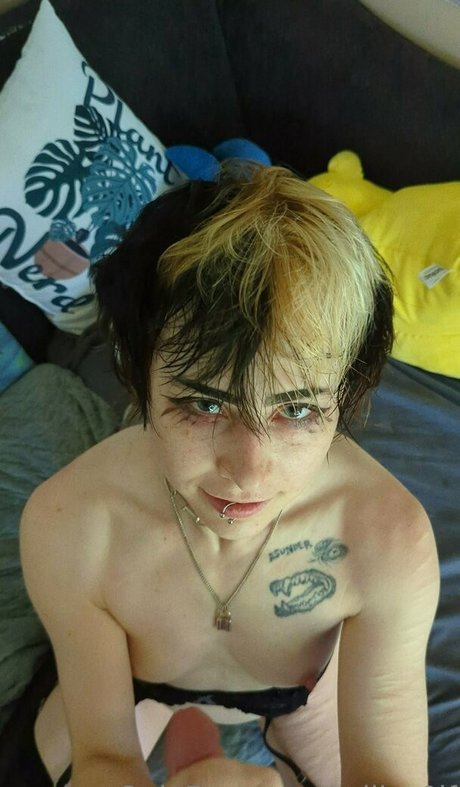 milkw0lf star hot gallery